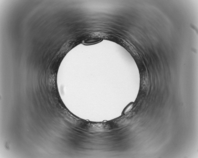 X0000094950473200712271701