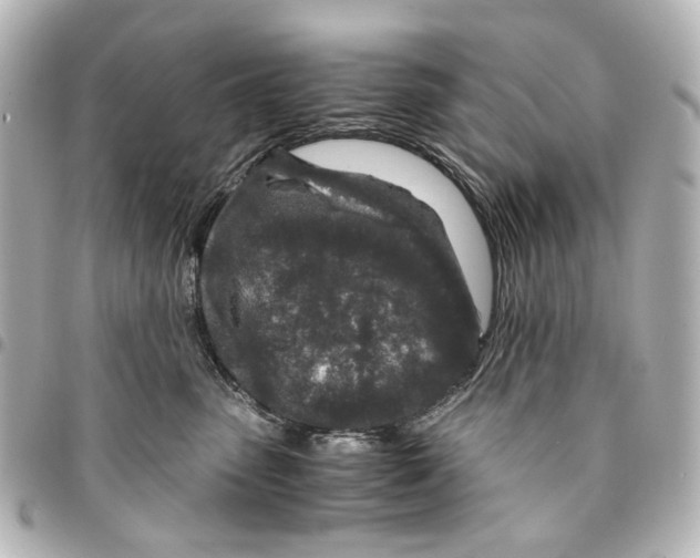 X0000094950475200712271701