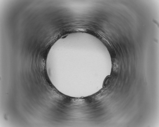 X0000094950476200712271701