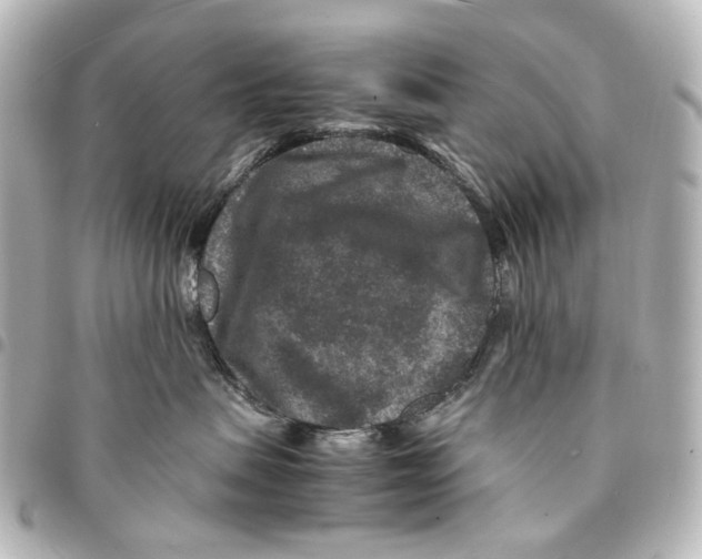 X0000094950479200712271701