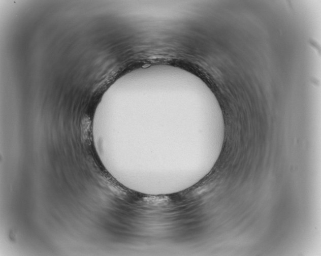 X0000094950480200712271701