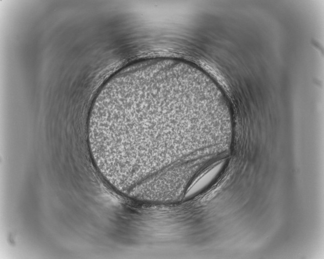 X0000094950481200712271701