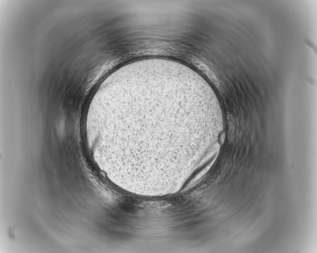 X0000094950482200712271701