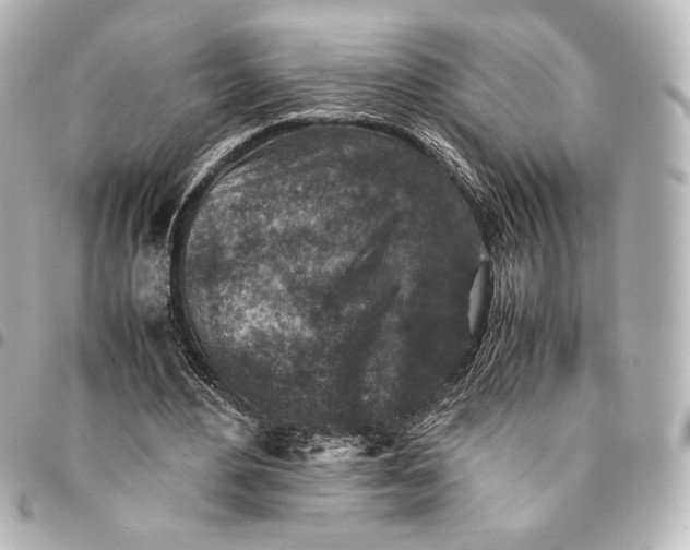 X0000094950484200712271701