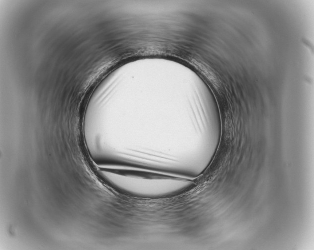 X0000094950485200712271701