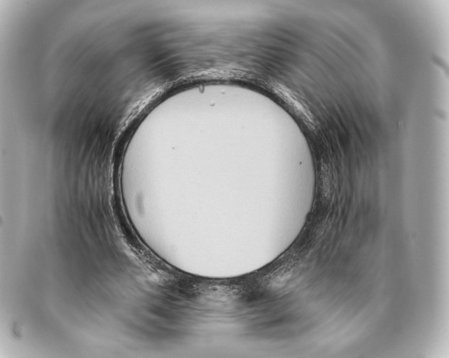 X0000094950486200712271700