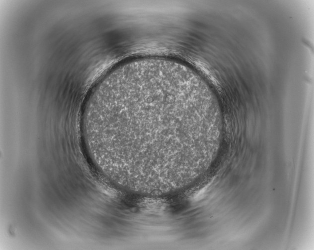 X0000094950487200712271700