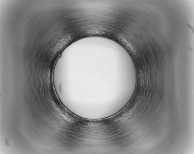 X0000094950490200712271700