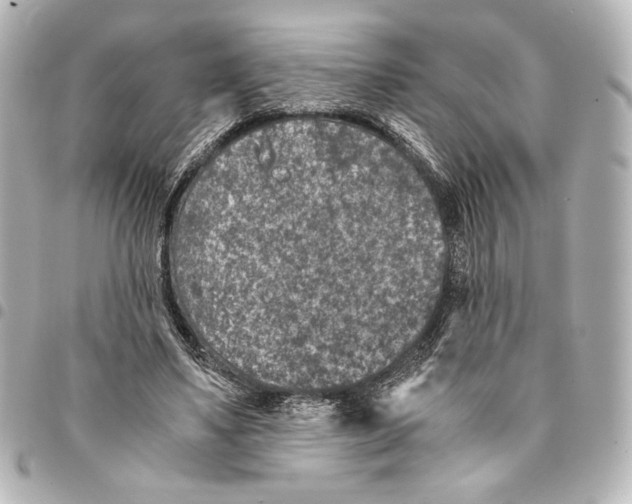 X0000094950491200712271700