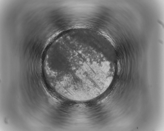 X0000094950492200712271700