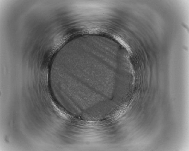 X0000094950493200712271700