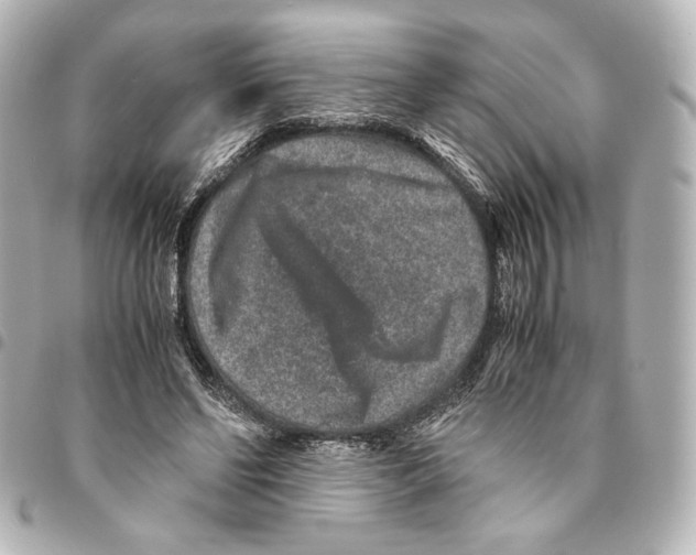 X0000094950494200712271700