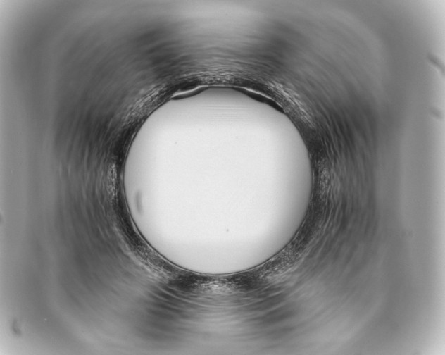 X0000094950498200712271700