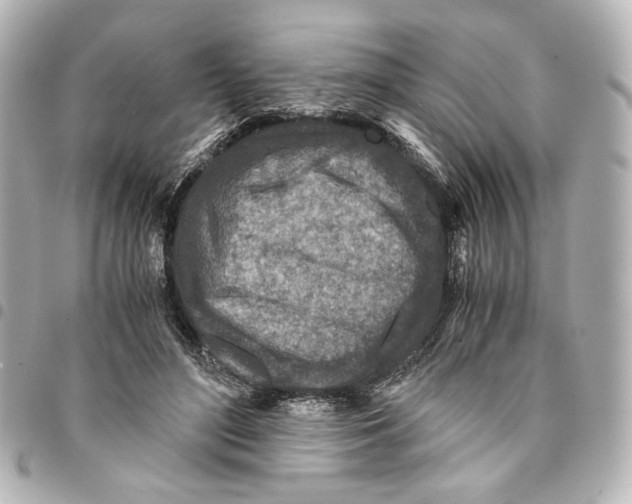 X0000094950500200712271700