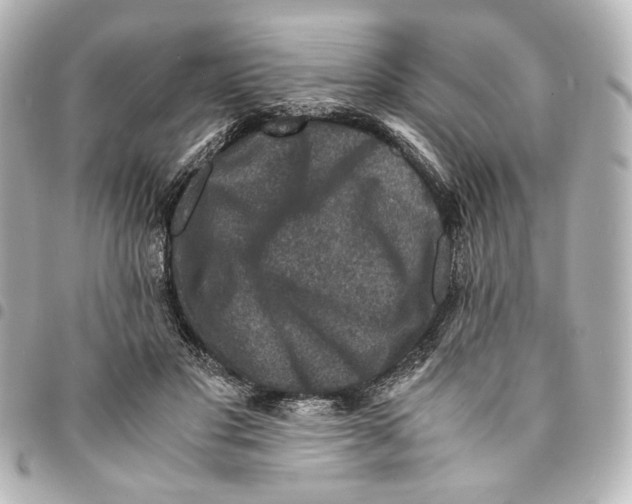 X0000094950501200712271700