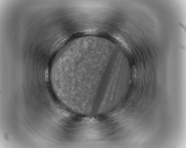 X0000094950502200712271700