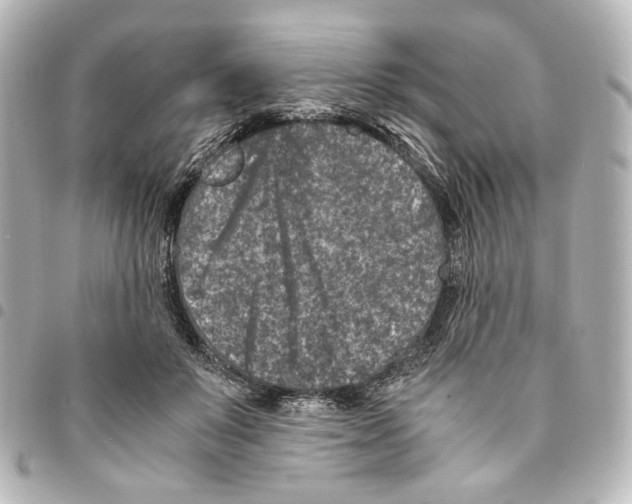 X0000094950503200712271700