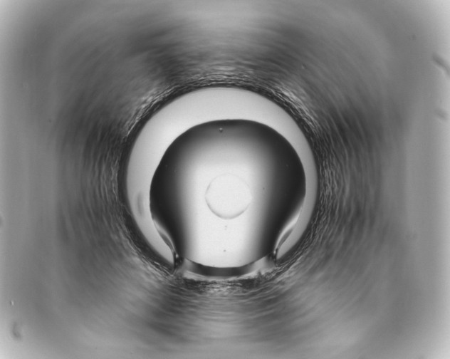 X0000094950504200712271700