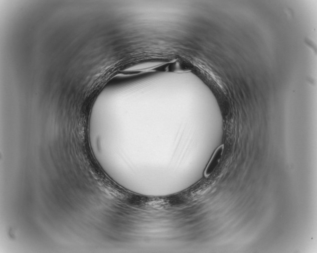 X0000094950505200712271700