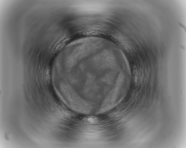 X0000094950506200712271700