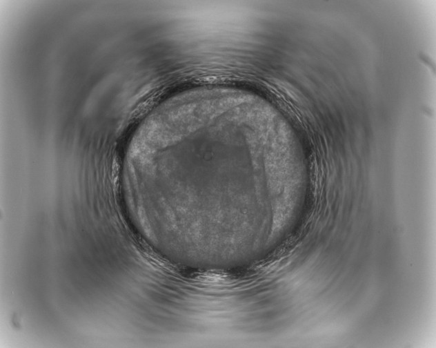 X0000094950507200712271700