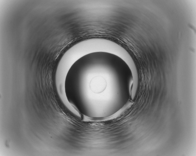 X0000094950508200712271700