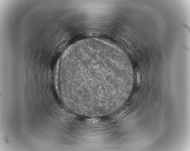 X0000094950511200712271700