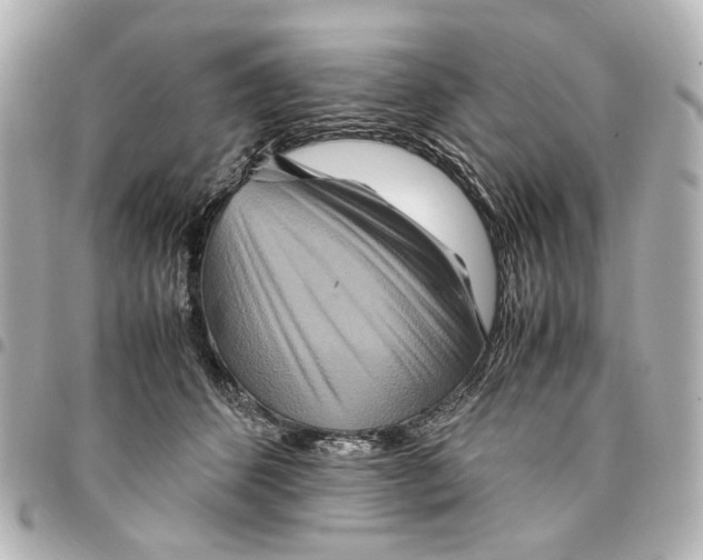 X0000094950512200712271700