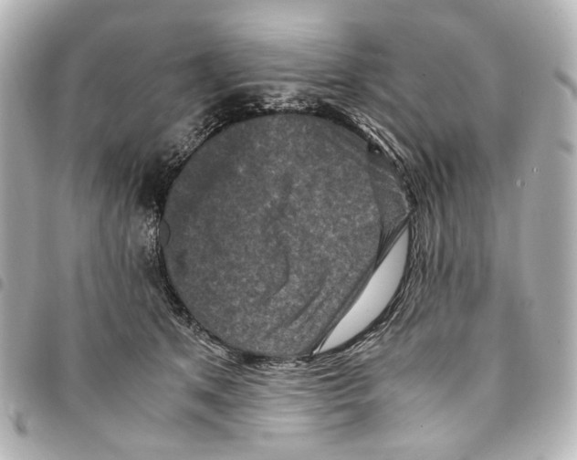 X0000094950513200712271700