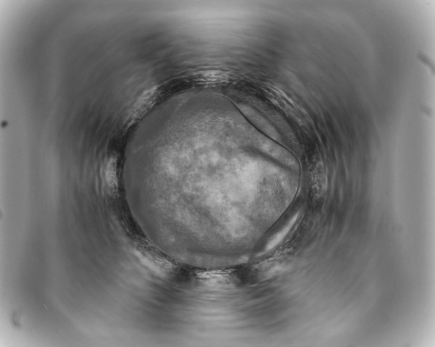 X0000094950516200712271700