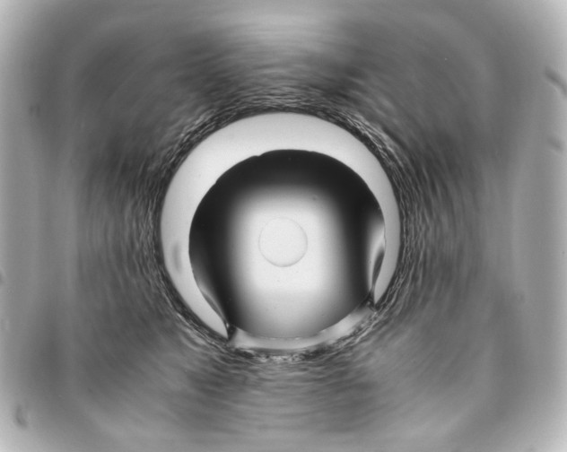 X0000094950517200712271700