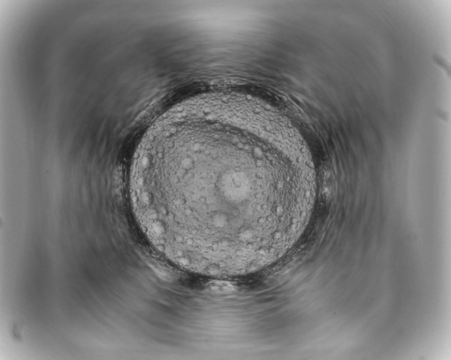 X0000094950519200712271700