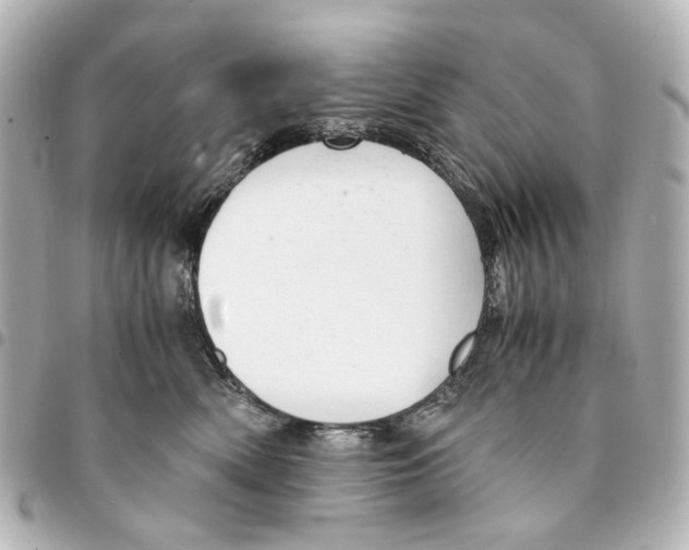 X0000094950522200712271700