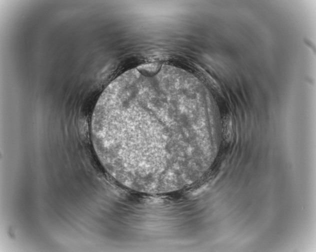 X0000094950523200712271700