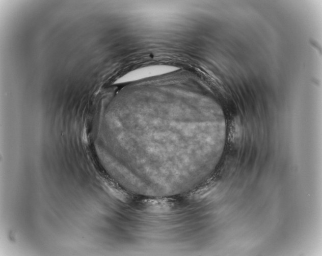 X0000094950524200712271700