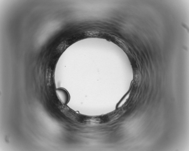 X0000094950525200712271700