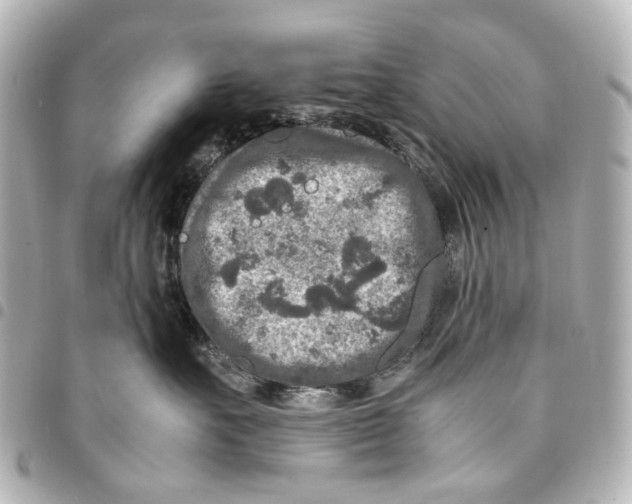 X0000094950527200712271700