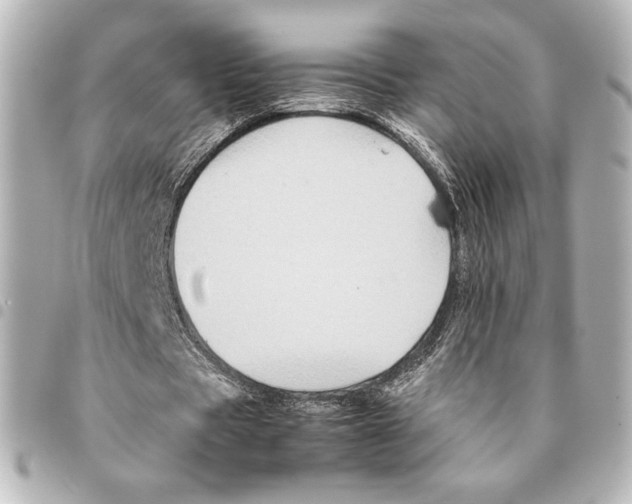 X0000094950529200712271659