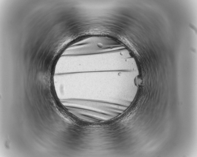 X0000094950530200712271659