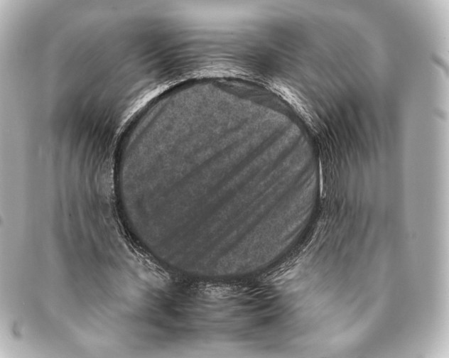 X0000094950531200712271659