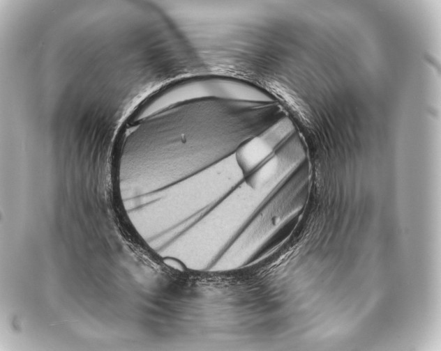 X0000094950532200712271659