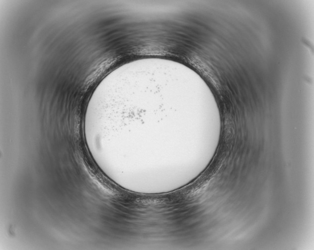 X0000094950533200712271659