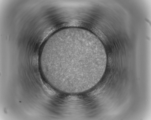 X0000094950534200712271659