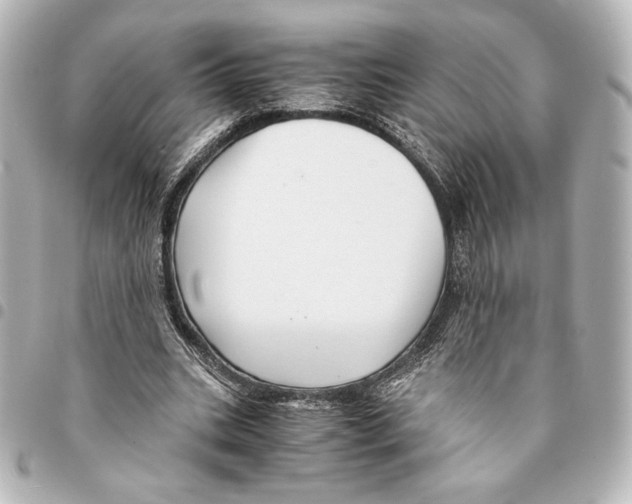 X0000094950535200712271659