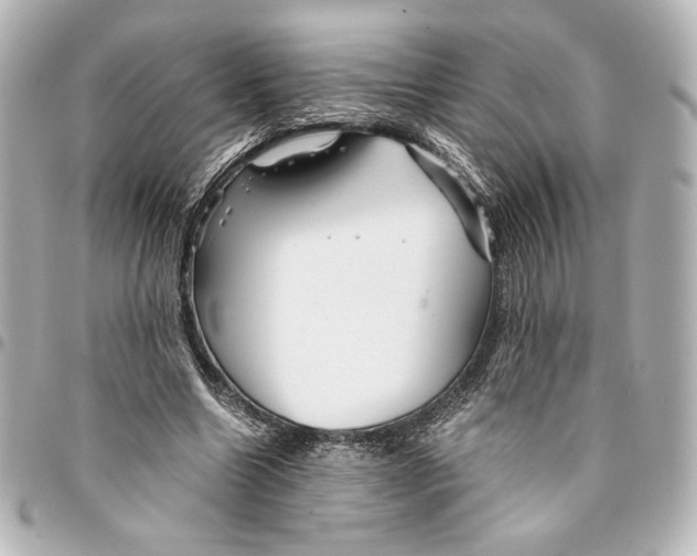 X0000094950538200712271659