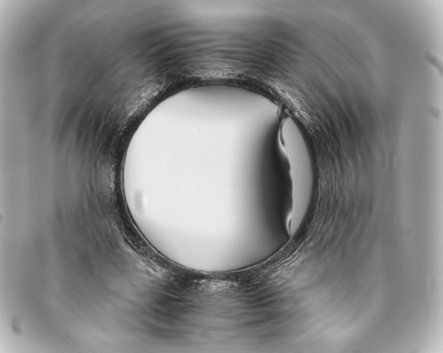 X0000094950539200712271659