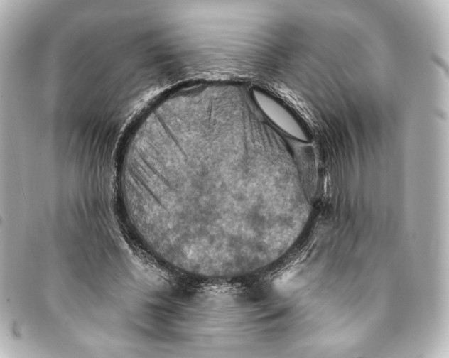 X0000094950540200712271659