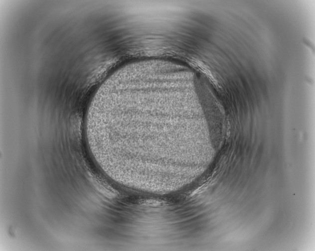 X0000094950542200712271659