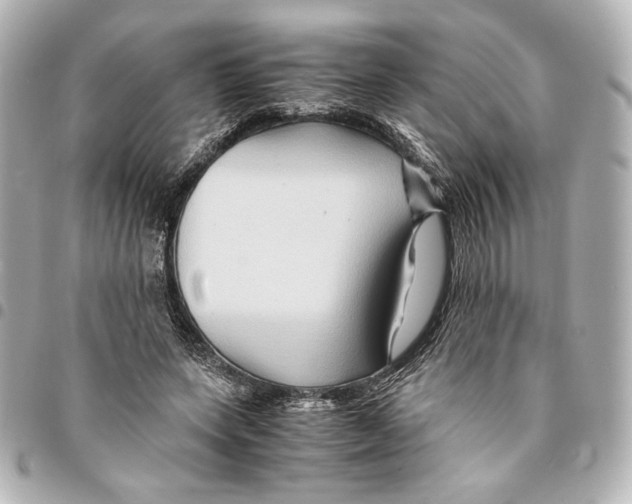 X0000094950543200712271659