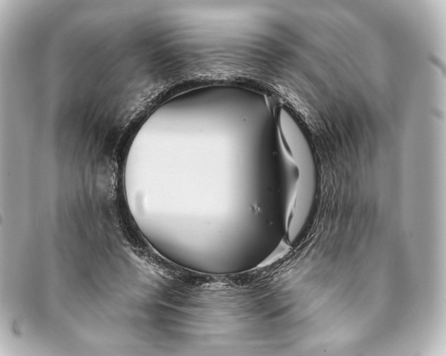 X0000094950544200712271659